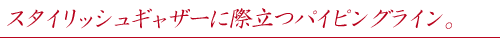 �X�^�C���b�V���M���U�[�ɍۗ��p�C�s���O���C���B