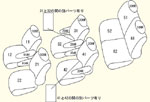 RG1〜4 キャプテンシート【7人乗り】用 セット内容イメージ図