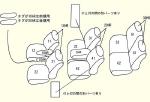 RF3〜8 ベンチシート【2列目中央肘掛け有り】用 セット内容イメージ図